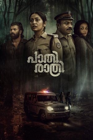 Paathirathri (2025) WEBRIP Hindi (MULTI AUDIO) 720p – 480p – 1080p